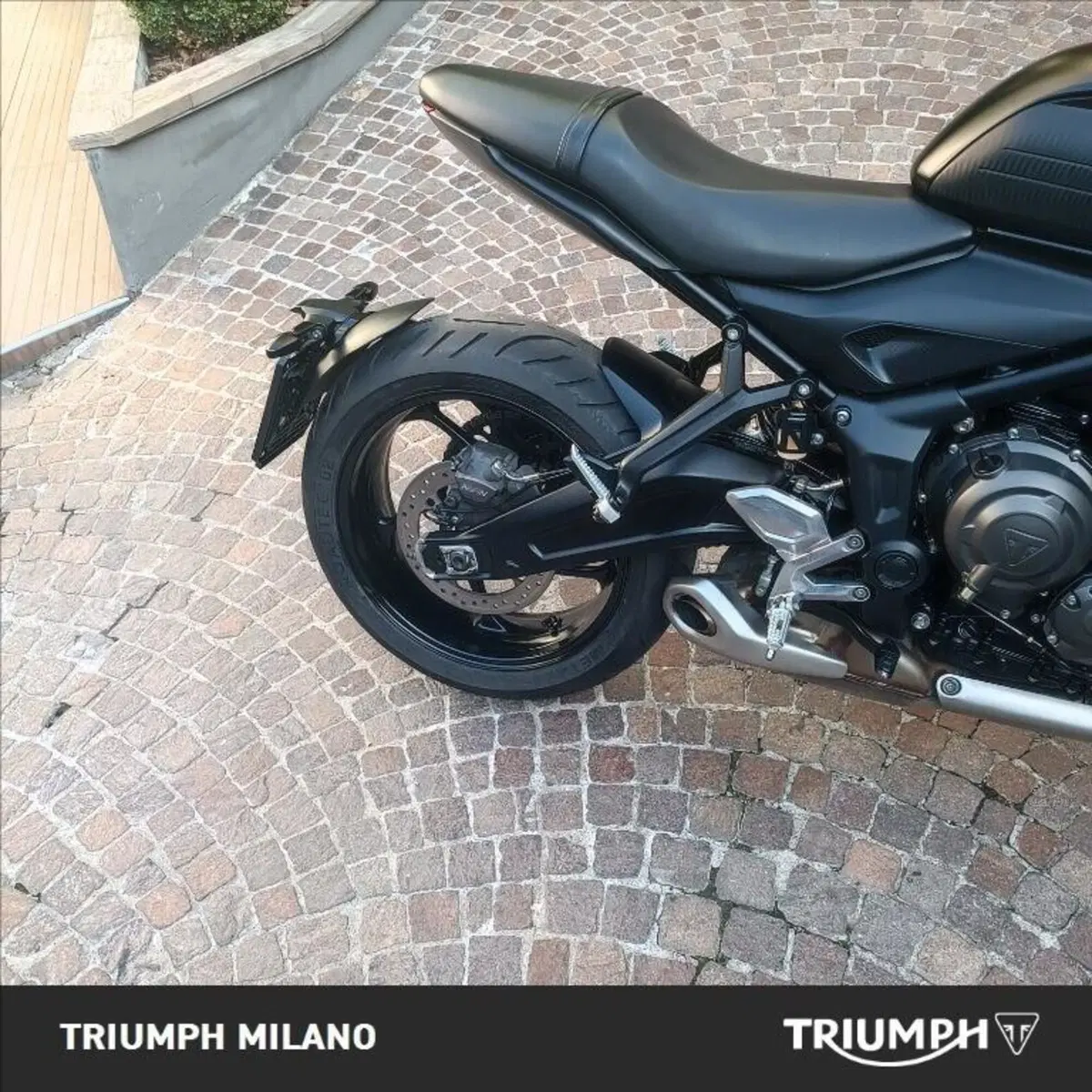Triumph Trident 660 (2021 - 24) (2)