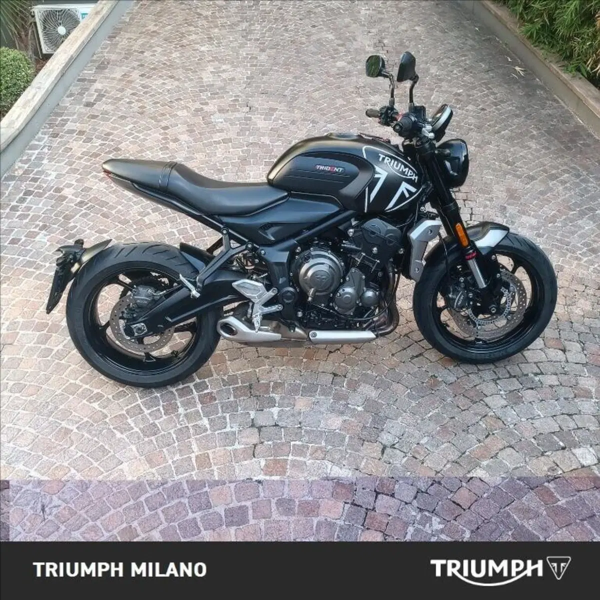 Triumph Trident 660 (2021 - 24)