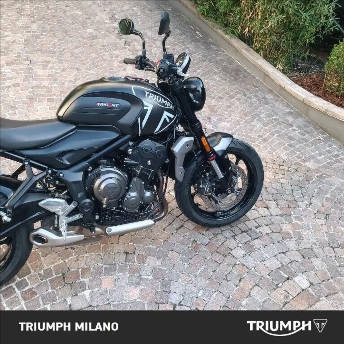 Triumph Trident 660 (2021 - 24) (3)