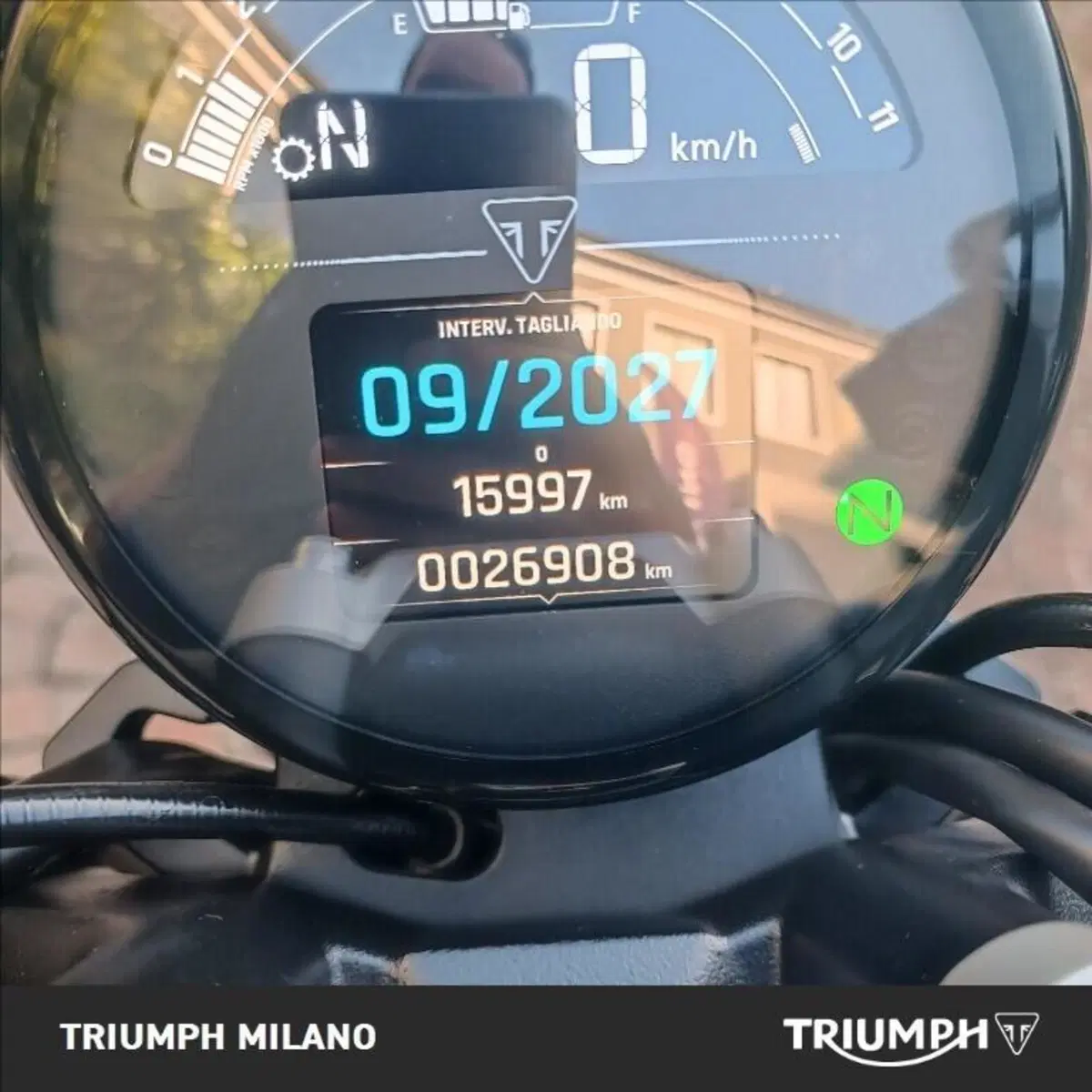 Triumph Trident 660 (2021 - 24) (5)