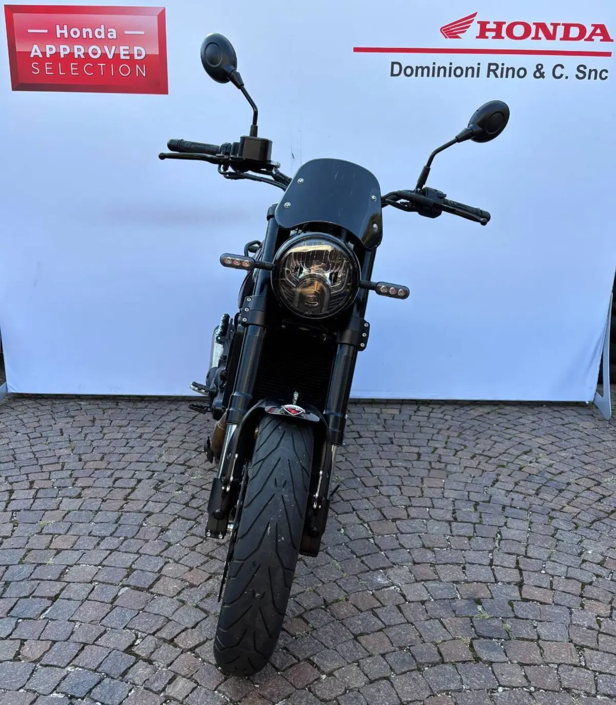 Benelli Leoncino 500 (2021 - 25) (3)