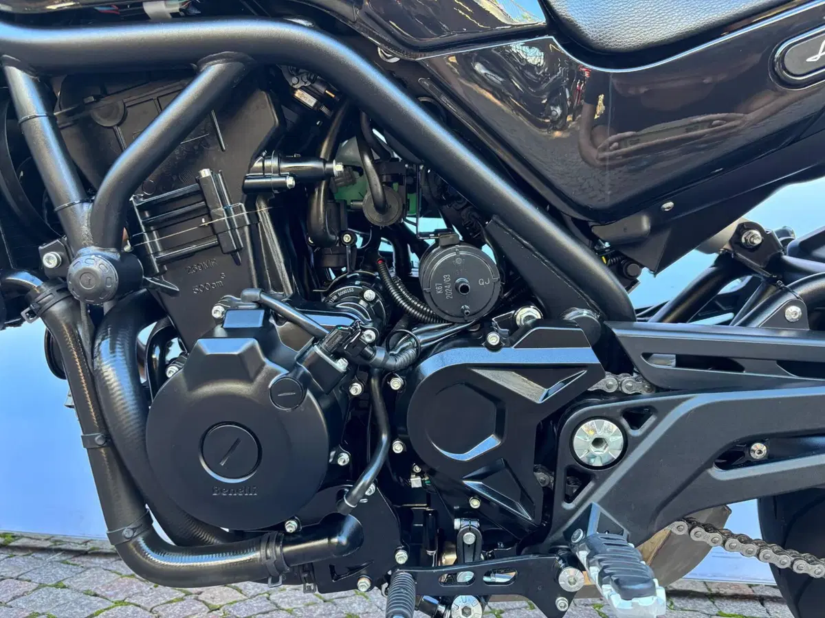 Benelli Leoncino 500 (2021 - 25) (4)