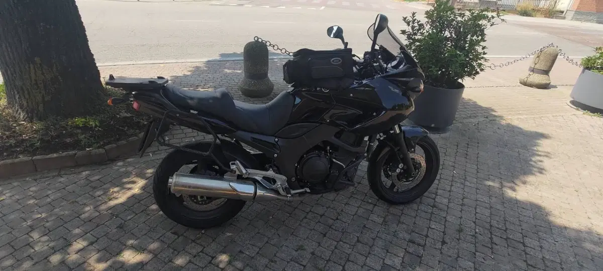 Yamaha TDM 900 (2002 - 14) (4)