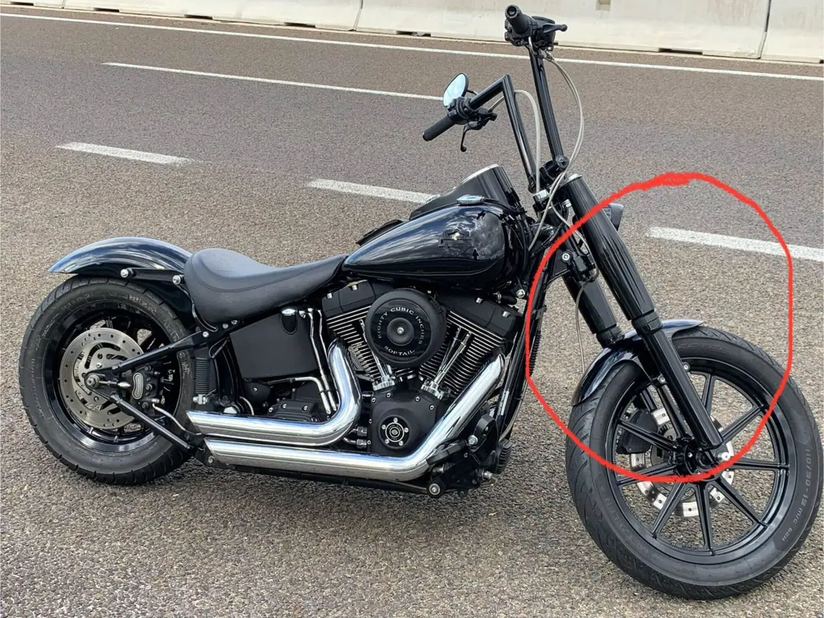 Per Harley Davidson Softail , Dyna e Sportster Harley-Davidson (2)