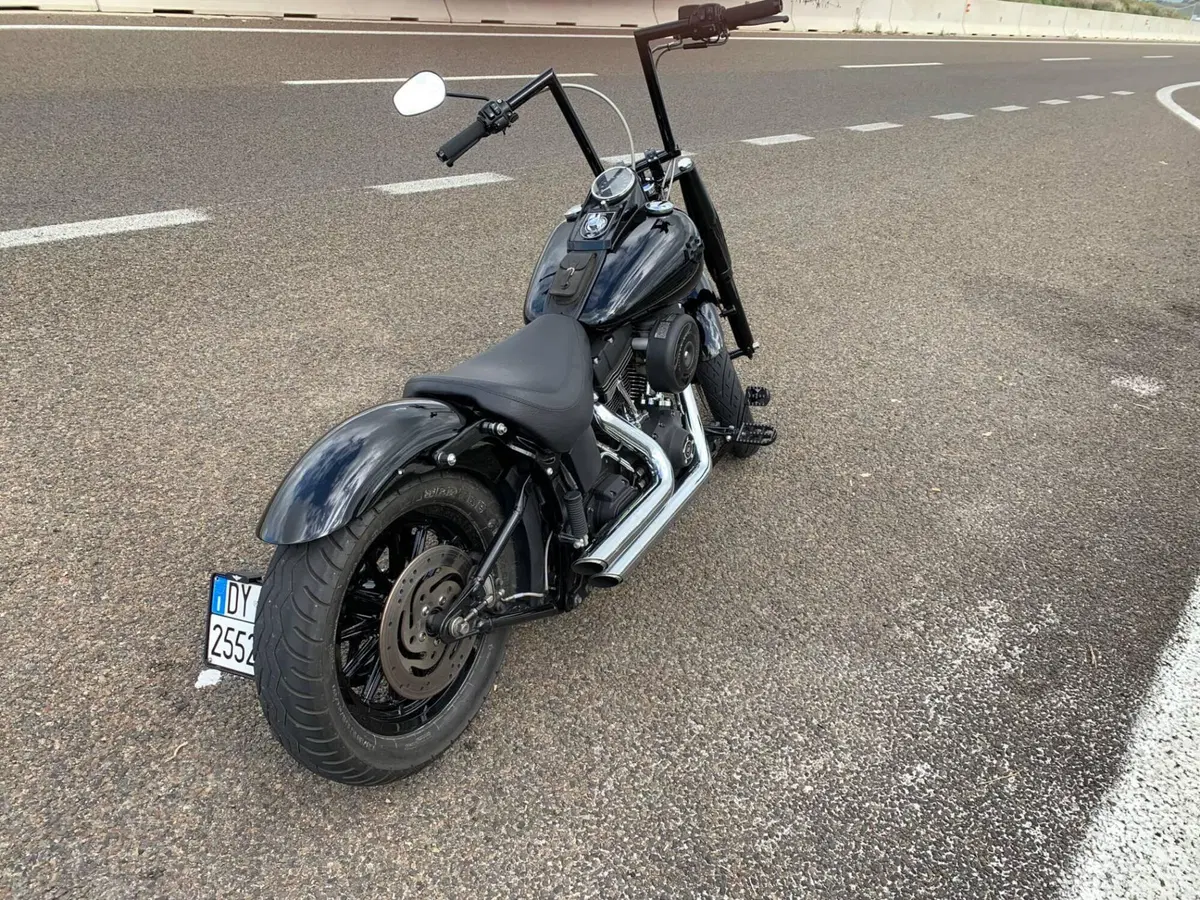 Per Harley Davidson Softail , Dyna e Sportster Harley-Davidson (3)