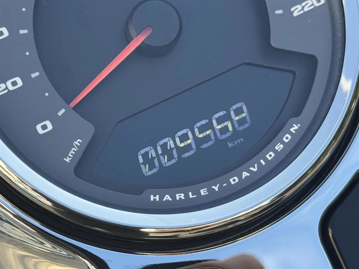 Harley-Davidson Fat Boy 114 (2021 - 24) (9)