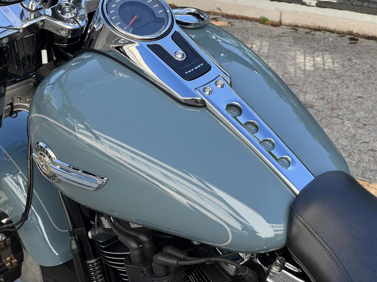 Harley-Davidson Fat Boy 114 (2021 - 24) (8)
