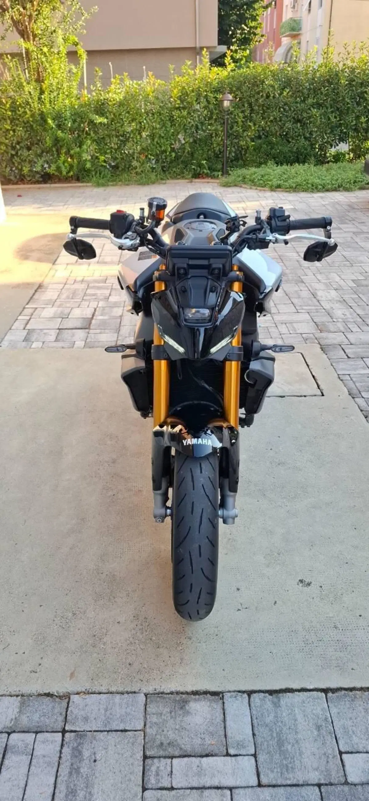 Yamaha MT-09 SP (2024 - 26) (3)