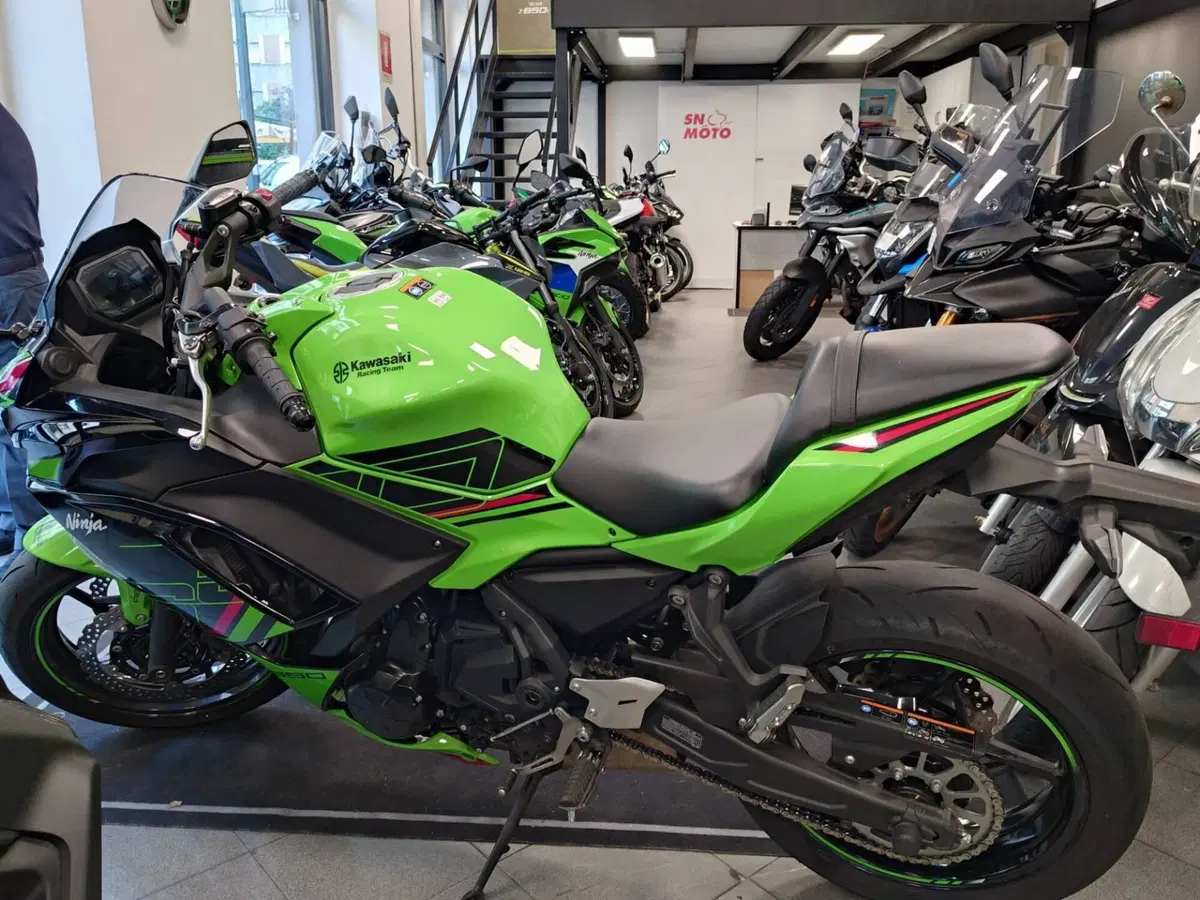 Kawasaki Ninja 650 (2021 - 24) (5)