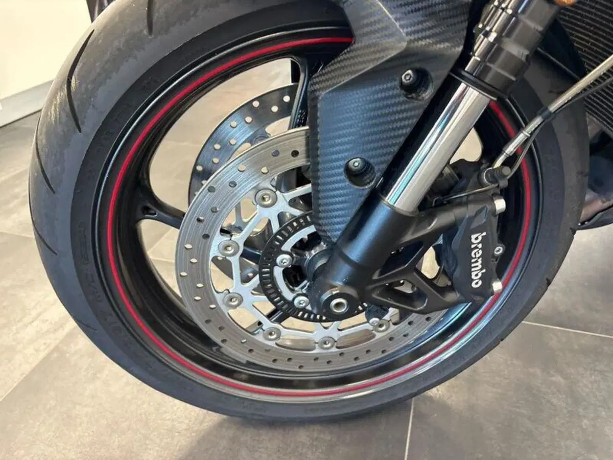 Triumph Street Triple R (2017 - 20) (7)