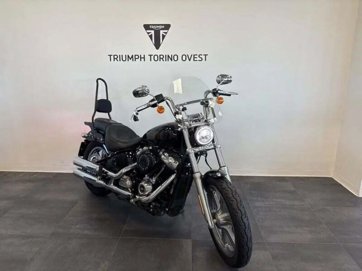 Harley-Davidson Softail Standard (2021 - 25)