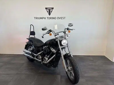 Harley-Davidson Softail Standard (2021 - 25) usata