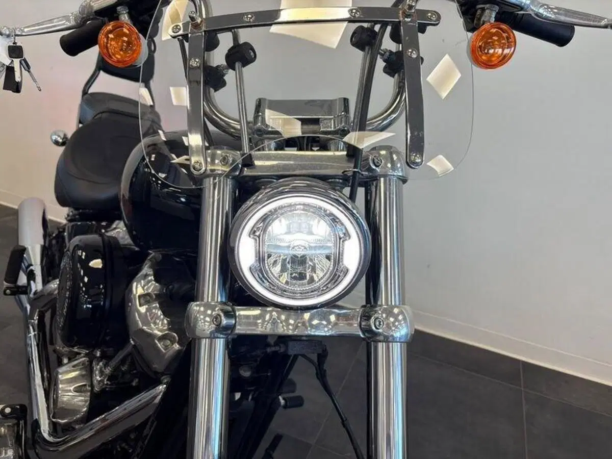 Harley-Davidson Softail Standard (2021 - 25) (3)