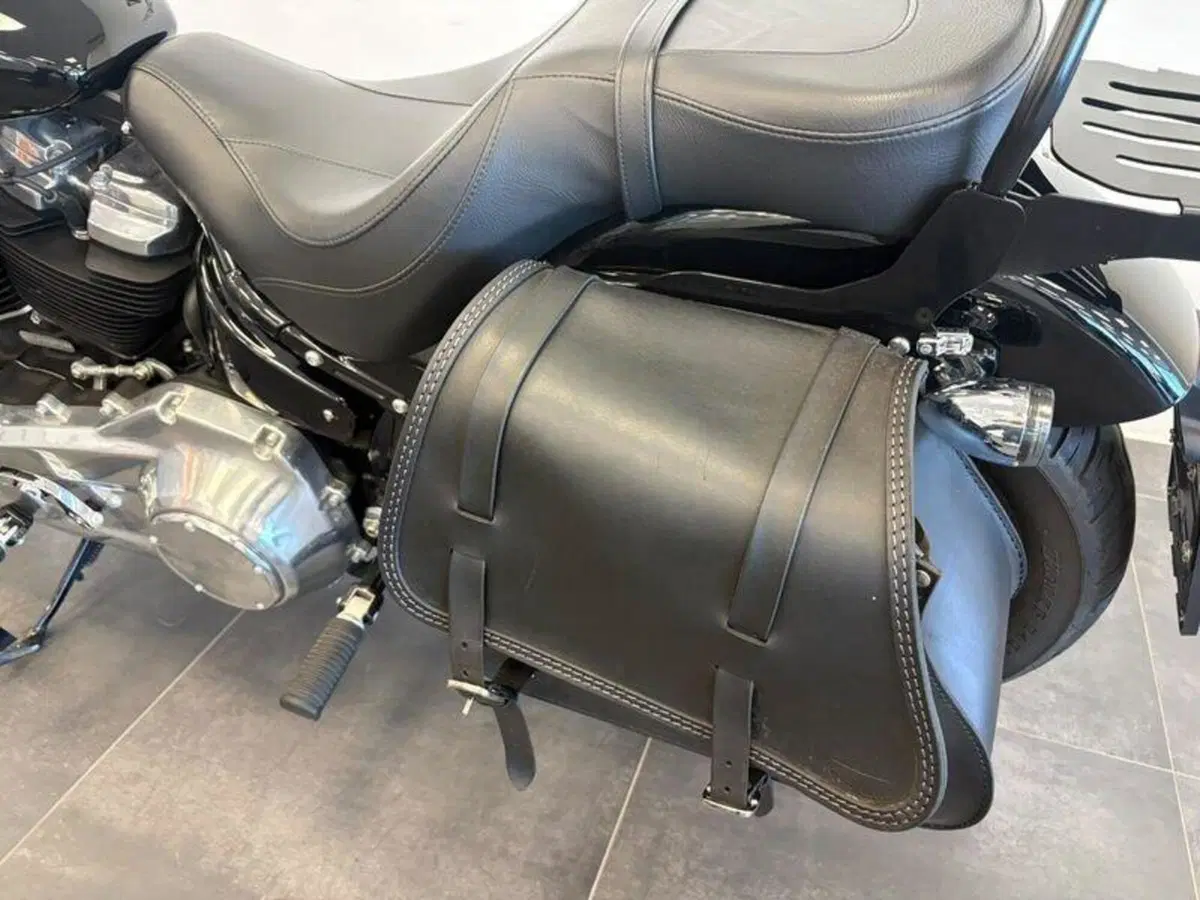 Harley-Davidson Softail Standard (2021 - 25) (5)