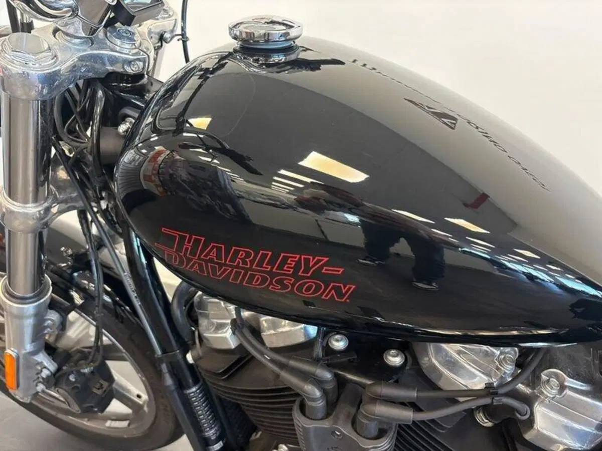 Harley-Davidson Softail Standard (2021 - 25) (7)