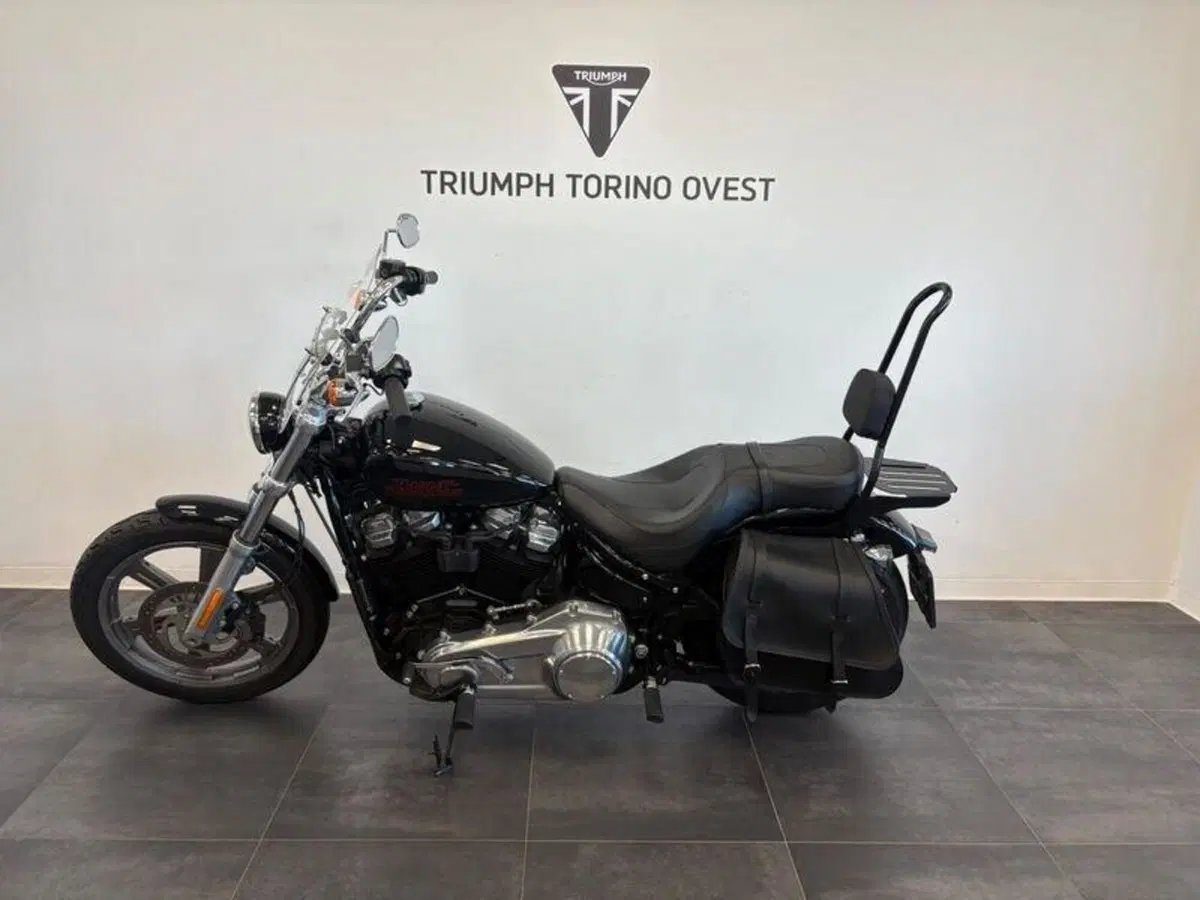 Harley-Davidson Softail Standard (2021 - 25) (2)