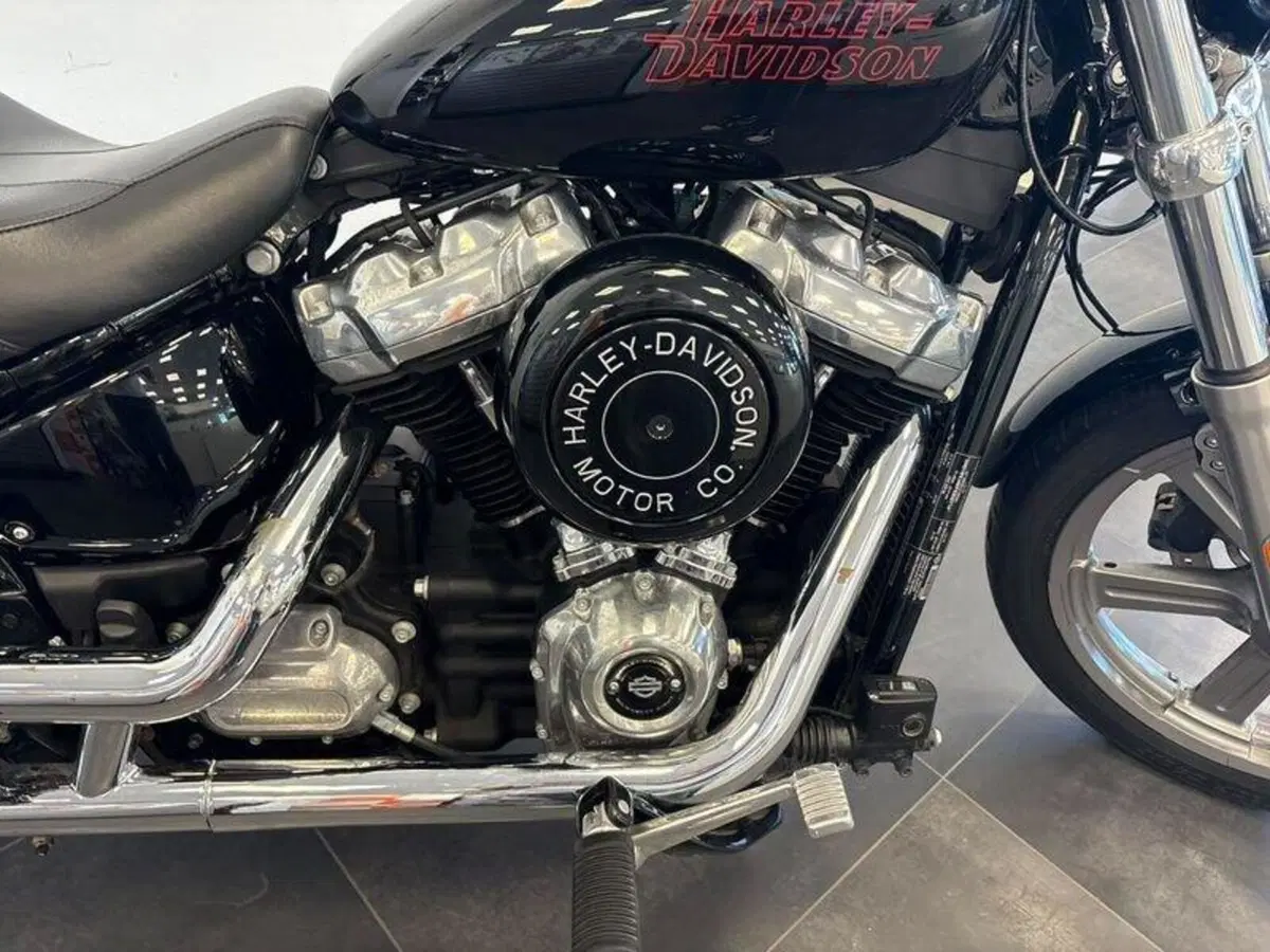 Harley-Davidson Softail Standard (2021 - 25) (9)