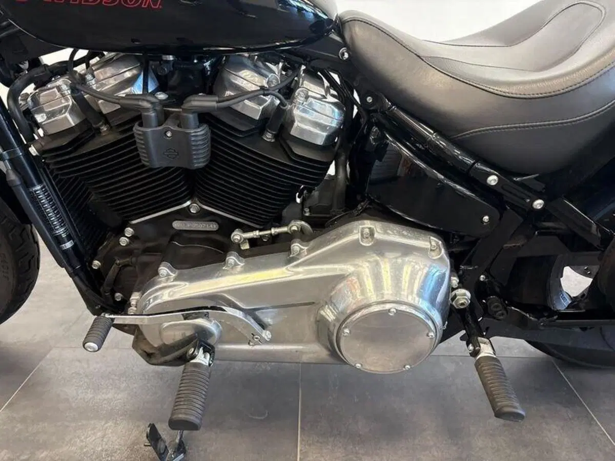 Harley-Davidson Softail Standard (2021 - 25) (6)