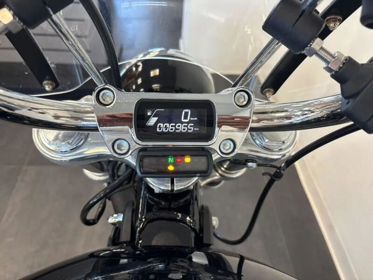 Harley-Davidson Softail Standard (2021 - 25) (4)