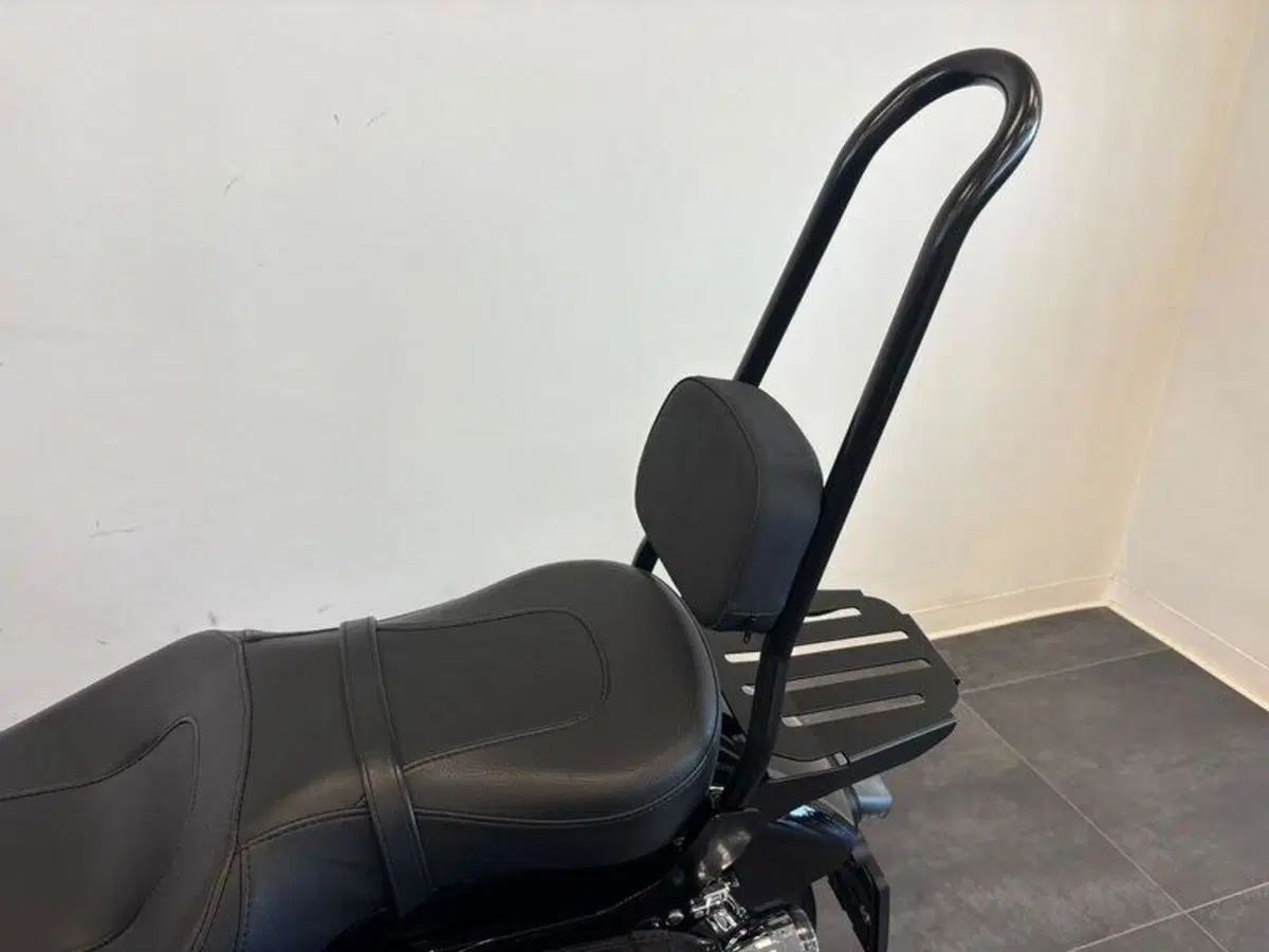 Harley-Davidson Softail Standard (2021 - 25) (8)
