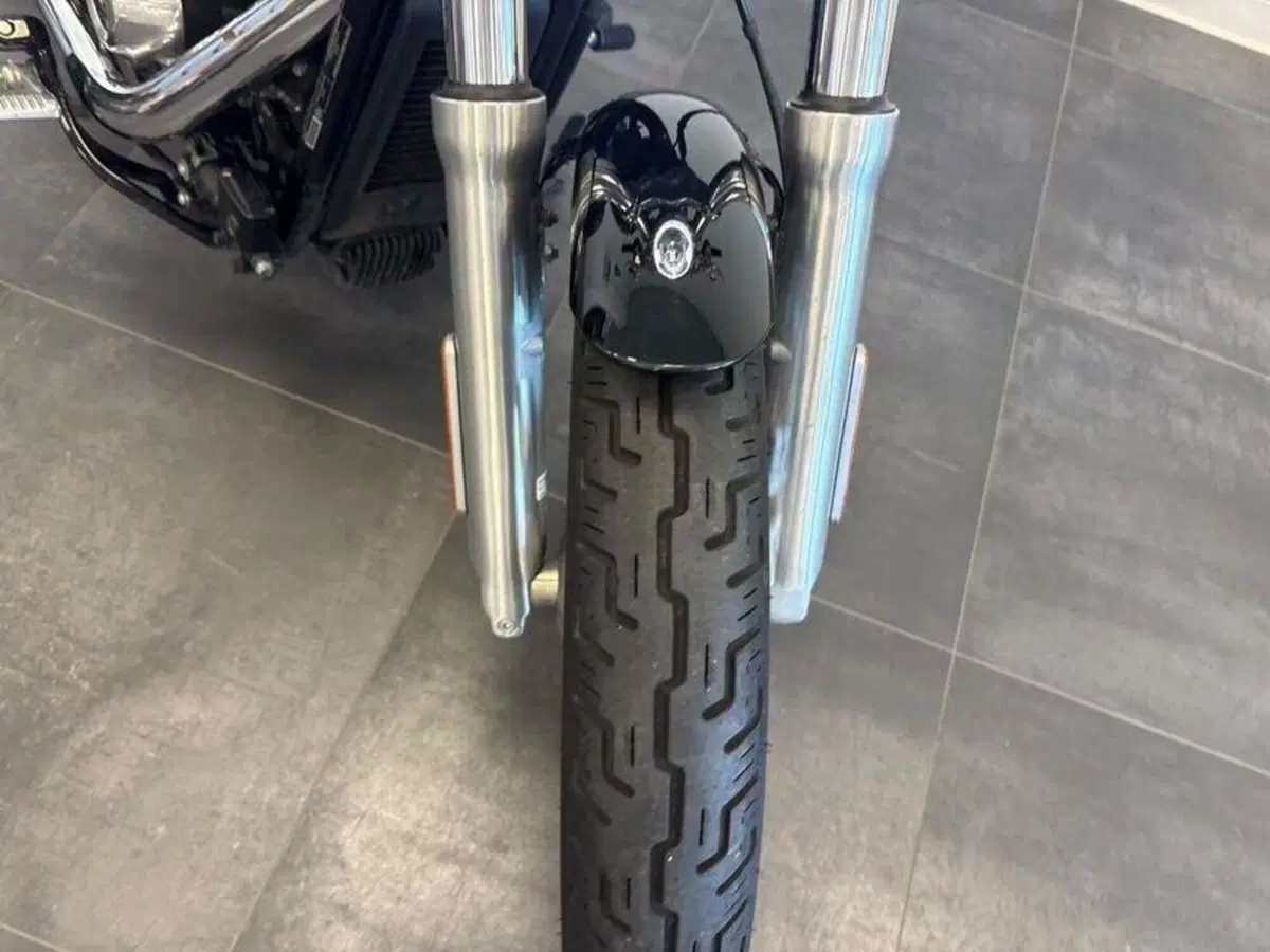 Harley-Davidson Softail Standard (2021 - 25) (10)