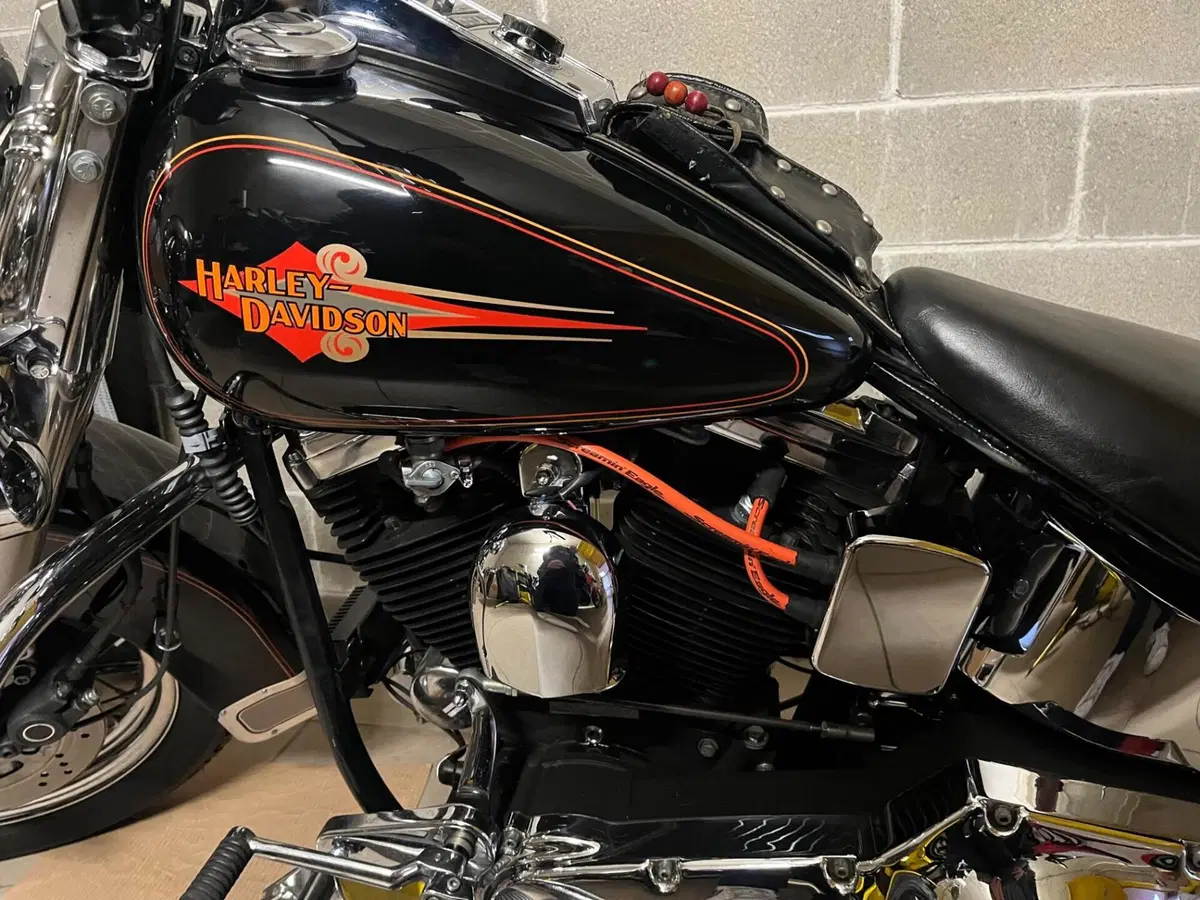 Harley-Davidson Heritage Softail Classic FLSTC (5)