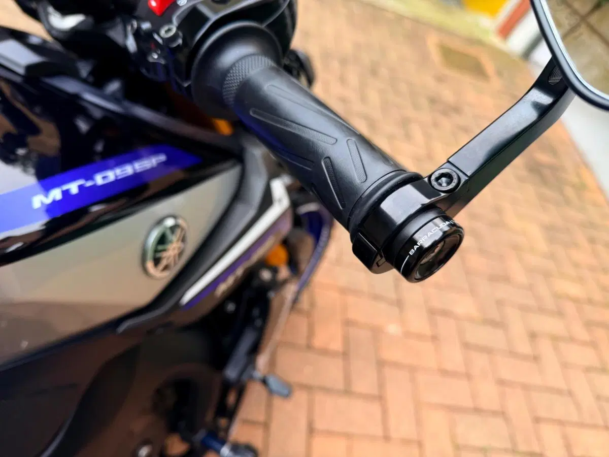 Yamaha MT-09 SP (2018 - 20) (5)