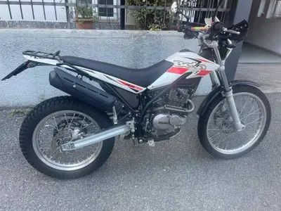 Betamotor Alp 200 (2009 - 17) usata