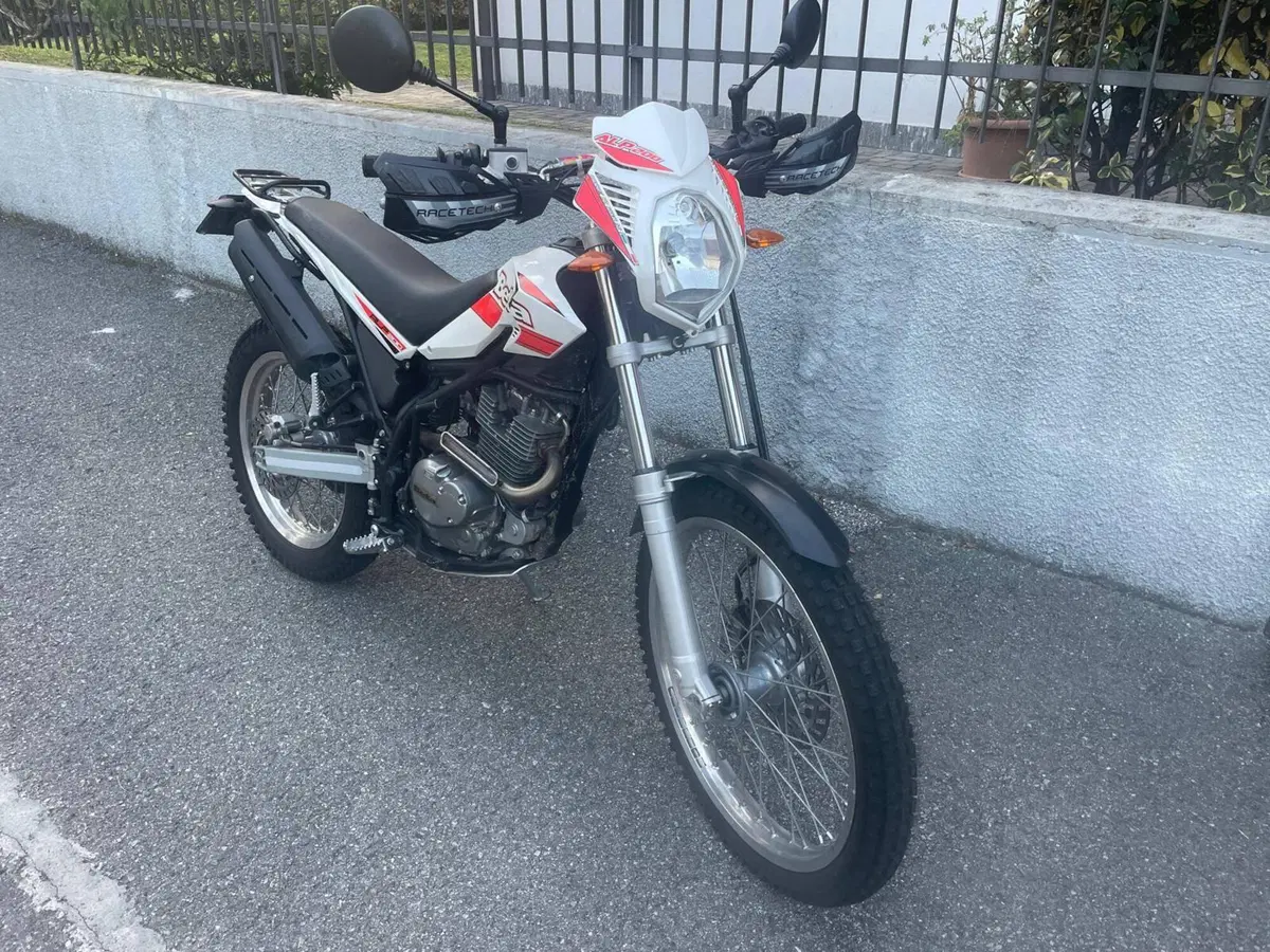 Betamotor Alp 200 (2009 - 17) (4)