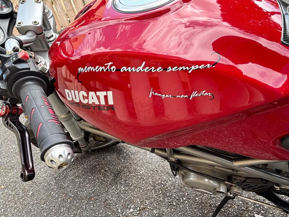Ducati Monster 900 Special I.E. (1999 - 02) (6)
