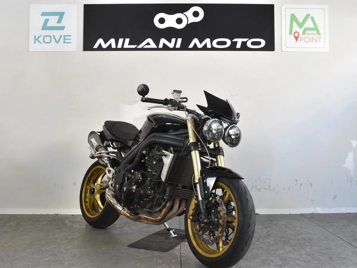 Triumph Speed Triple 1050 (2005 - 11) (2)