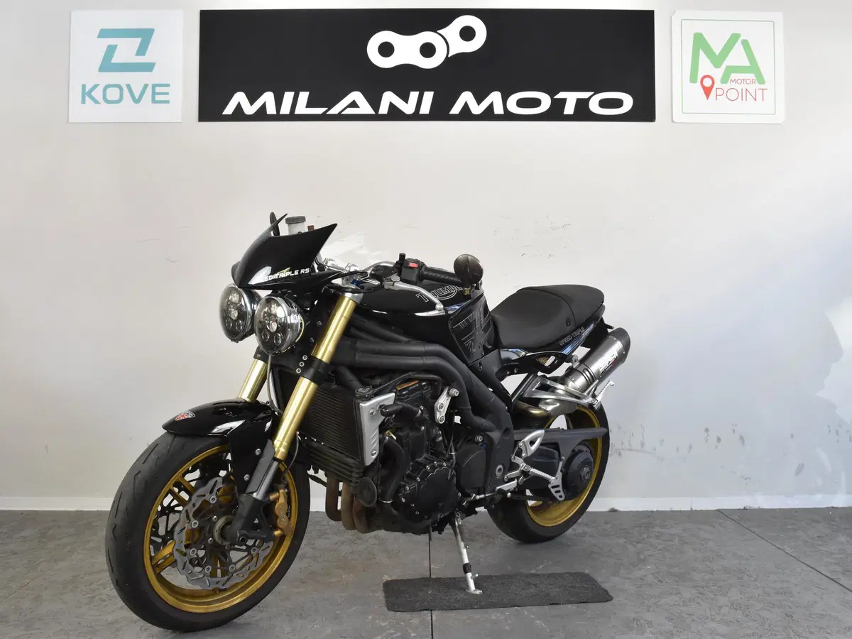Triumph Speed Triple 1050 (2005 - 11) (3)