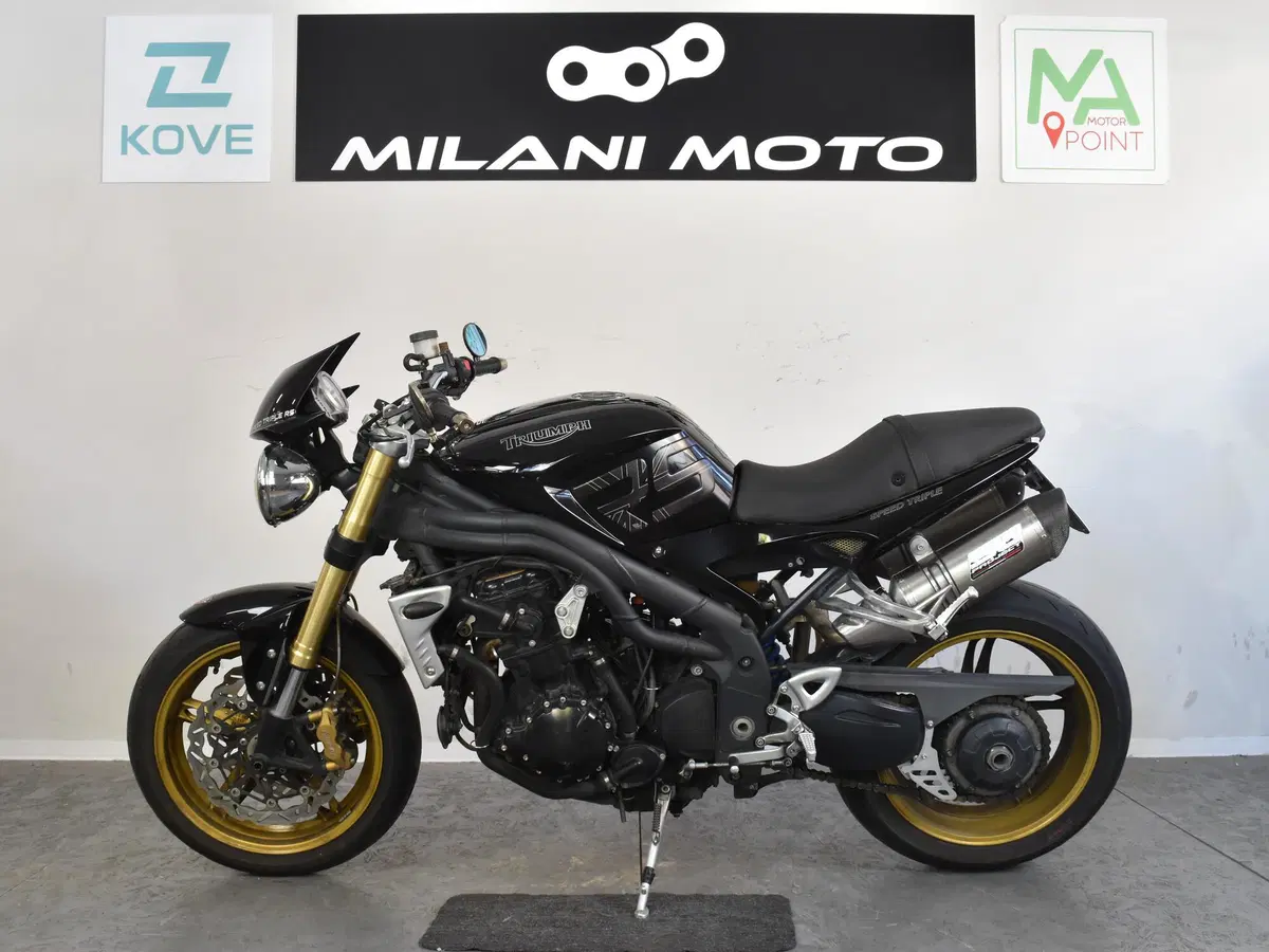 Triumph Speed Triple 1050 (2005 - 11) (4)