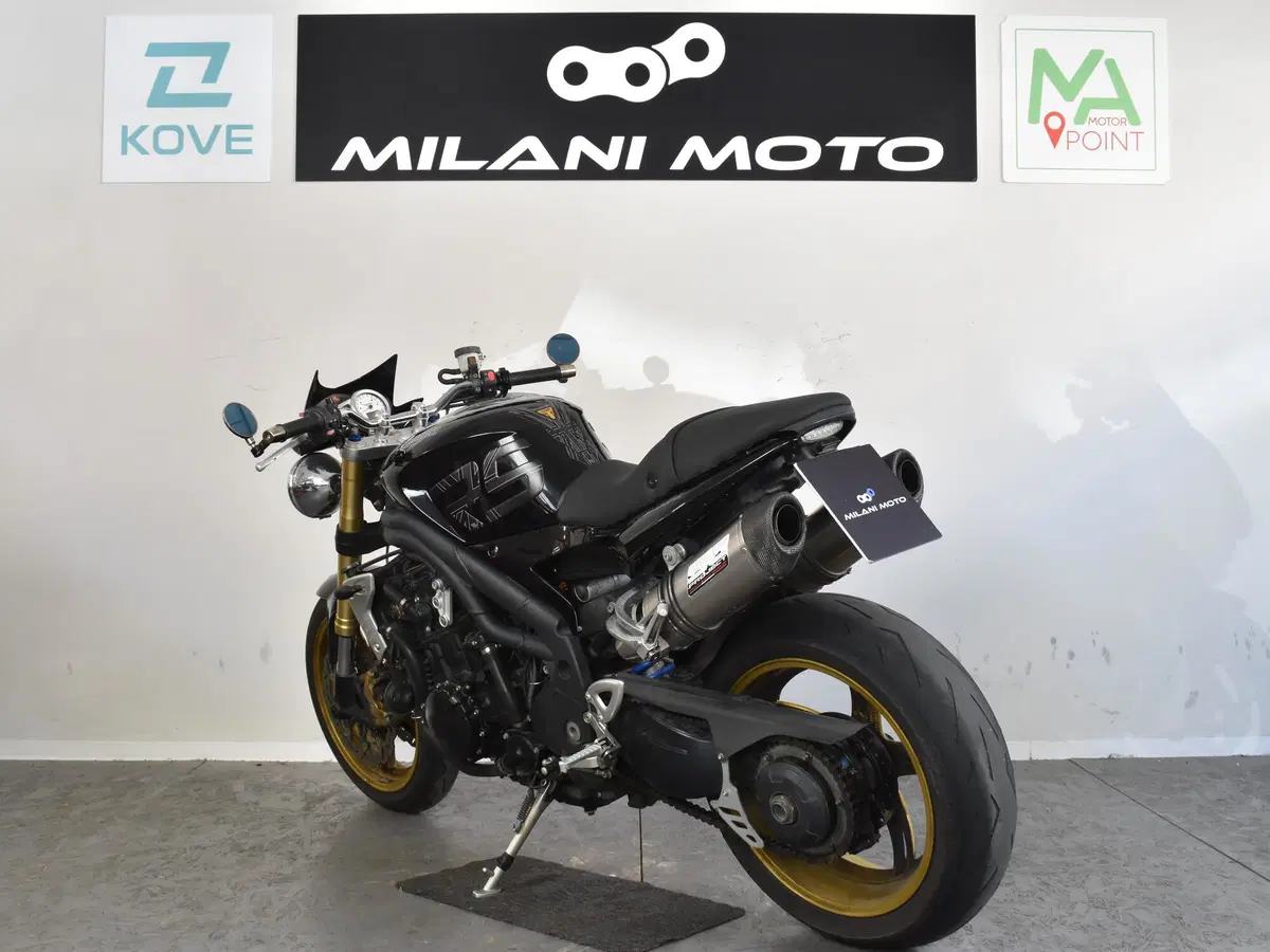 Triumph Speed Triple 1050 (2005 - 11) (5)