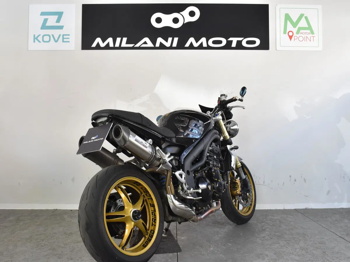Triumph Speed Triple 1050 (2005 - 11) (6)