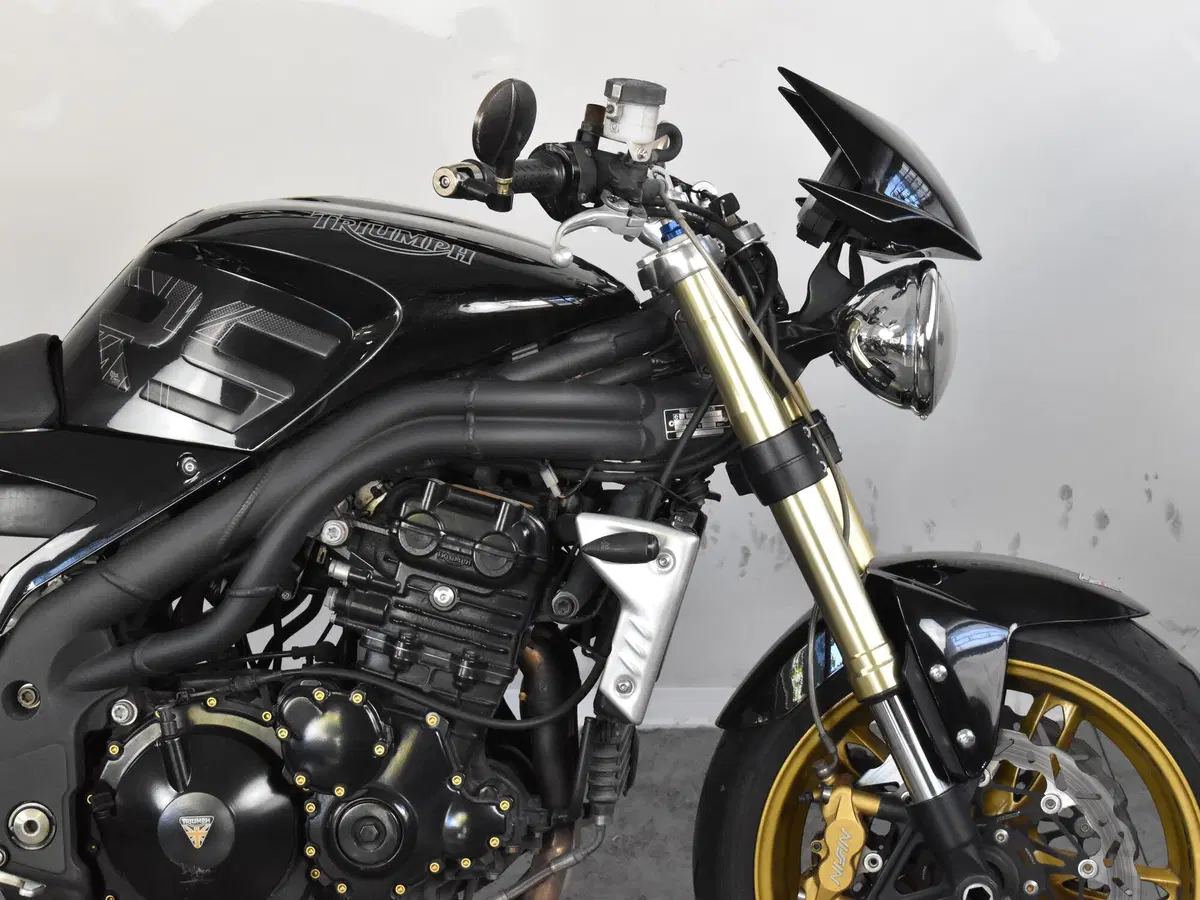 Triumph Speed Triple 1050 (2005 - 11) (8)
