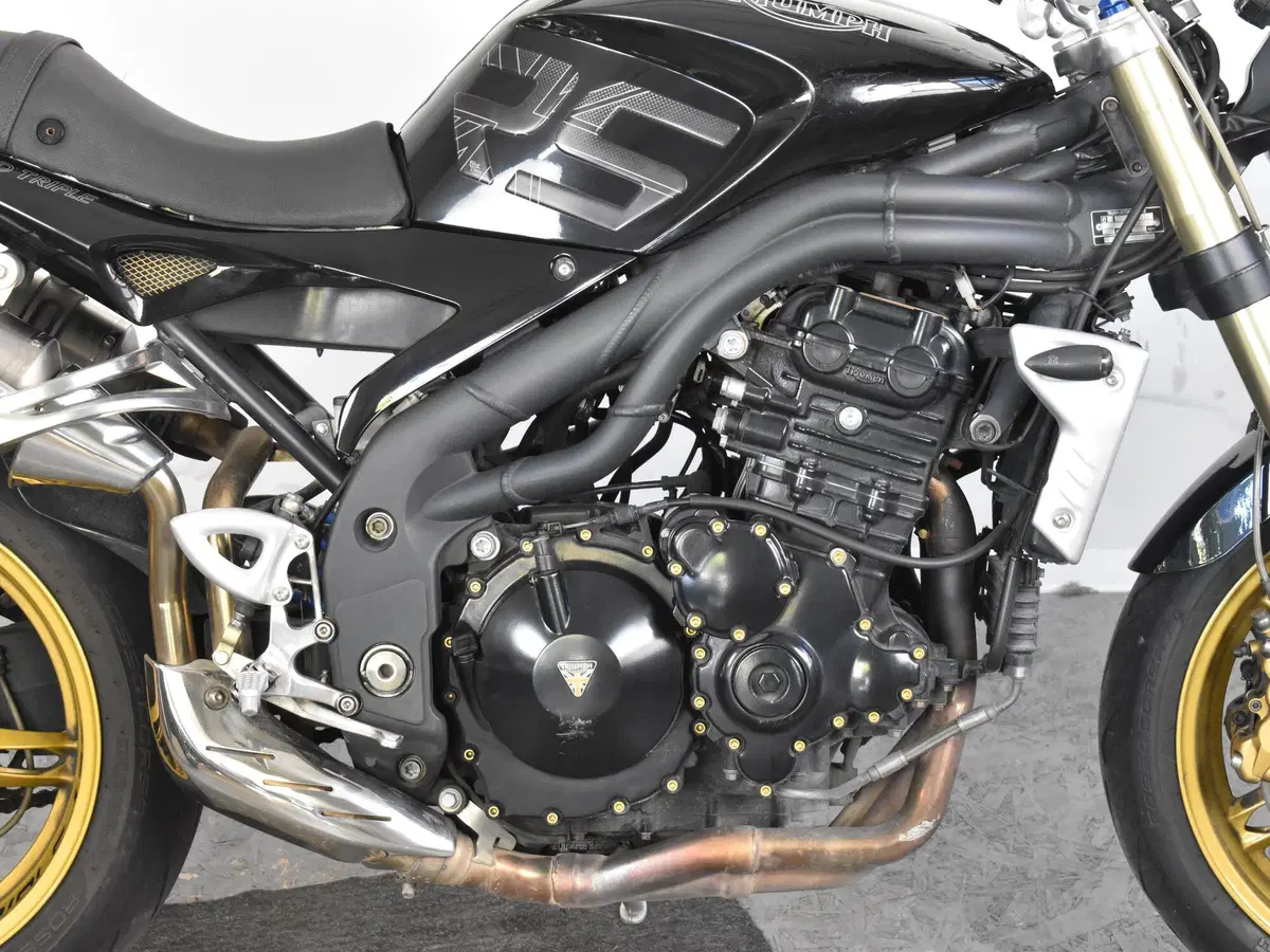 Triumph Speed Triple 1050 (2005 - 11) (9)