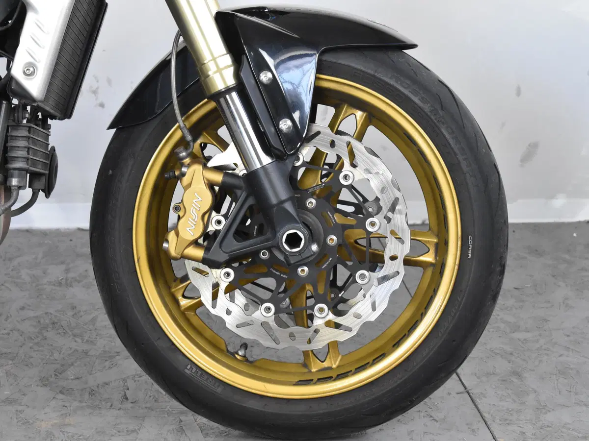 Triumph Speed Triple 1050 (2005 - 11) (11)