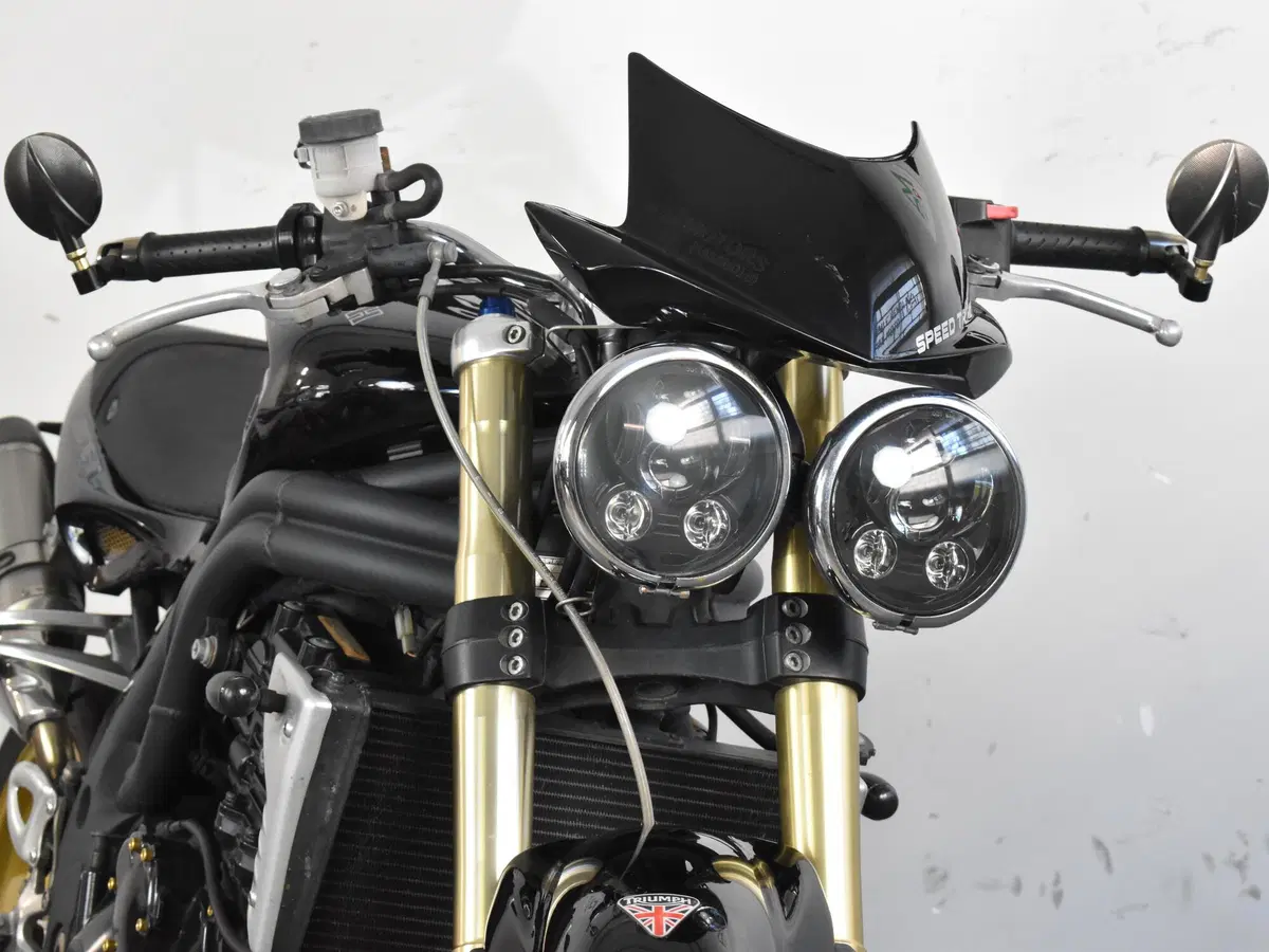 Triumph Speed Triple 1050 (2005 - 11) (12)