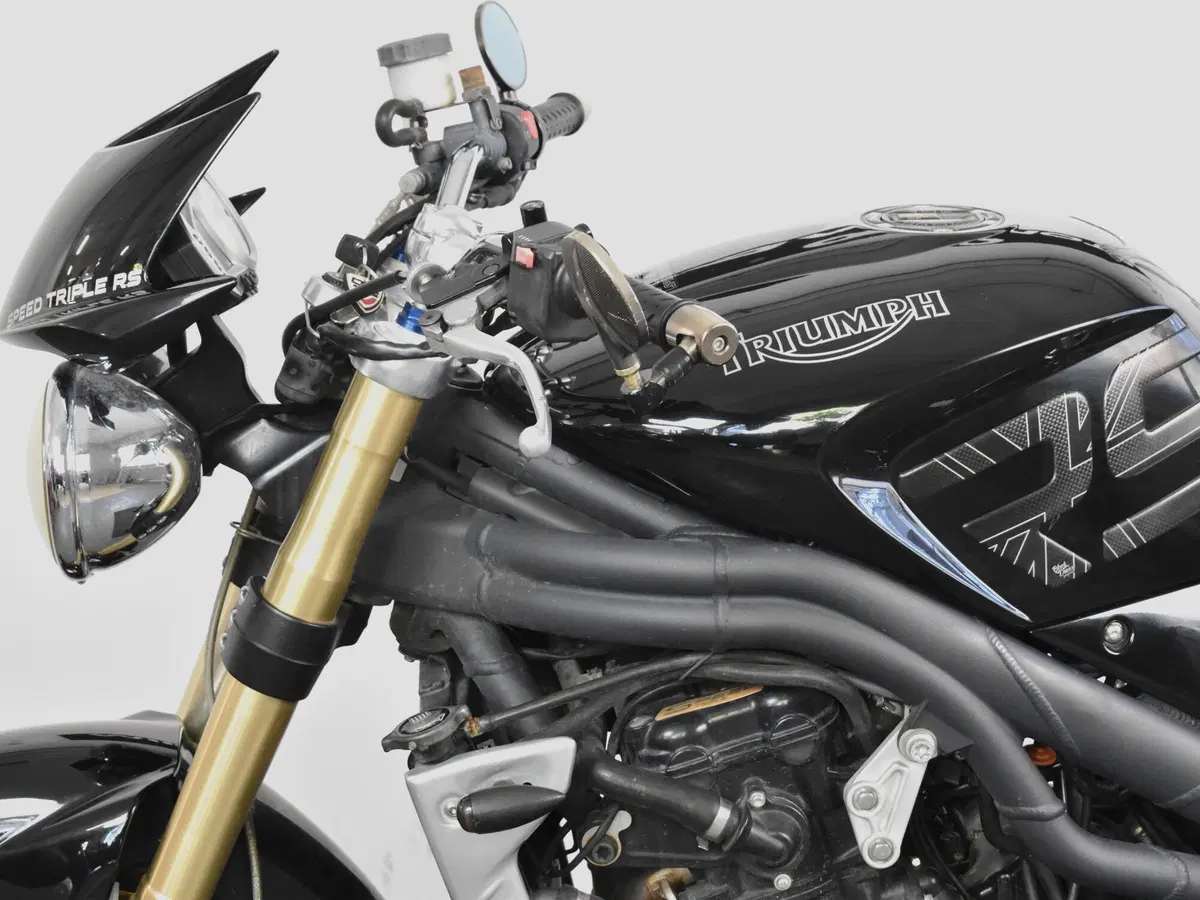 Triumph Speed Triple 1050 (2005 - 11) (13)