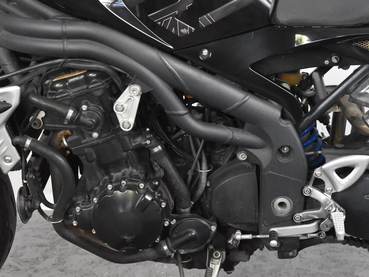 Triumph Speed Triple 1050 (2005 - 11) (14)
