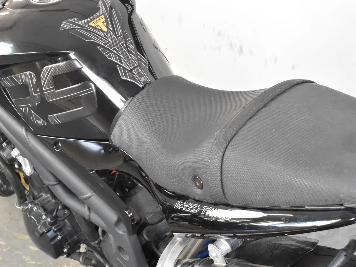 Triumph Speed Triple 1050 (2005 - 11) (16)