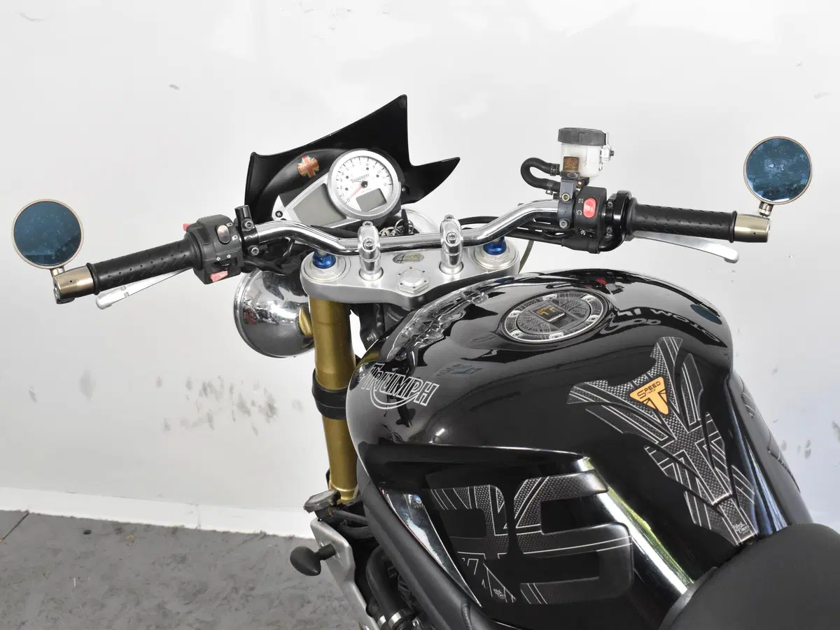 Triumph Speed Triple 1050 (2005 - 11) (17)