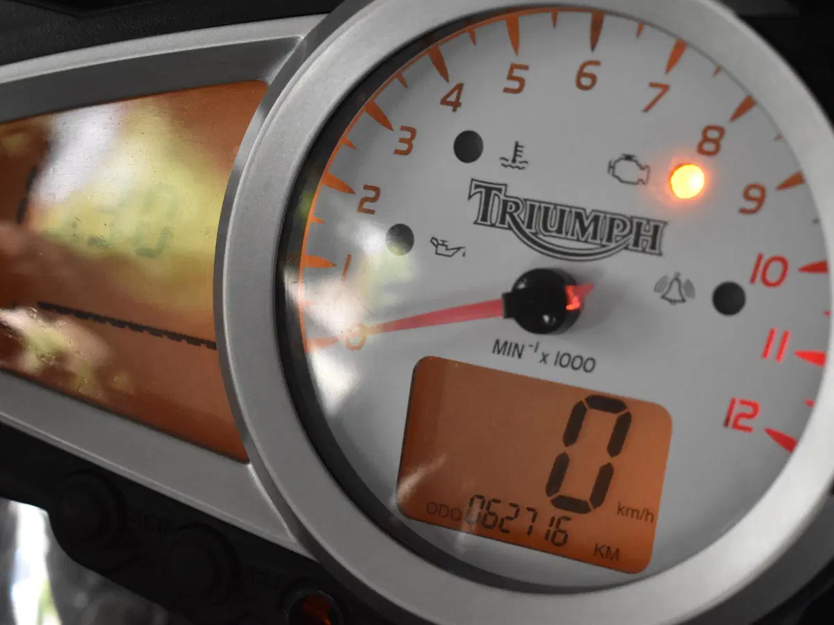 Triumph Speed Triple 1050 (2005 - 11) (18)