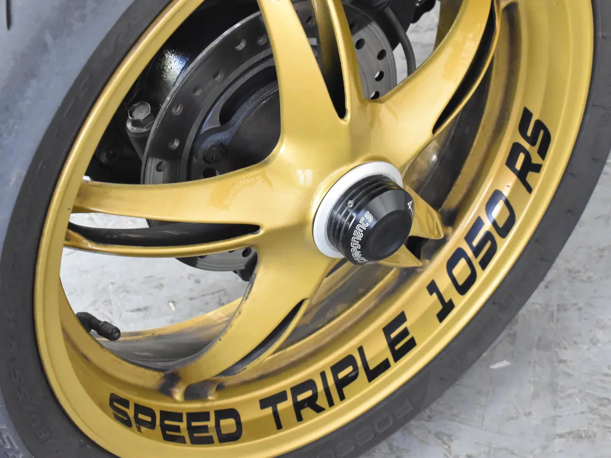 Triumph Speed Triple 1050 (2005 - 11) (19)