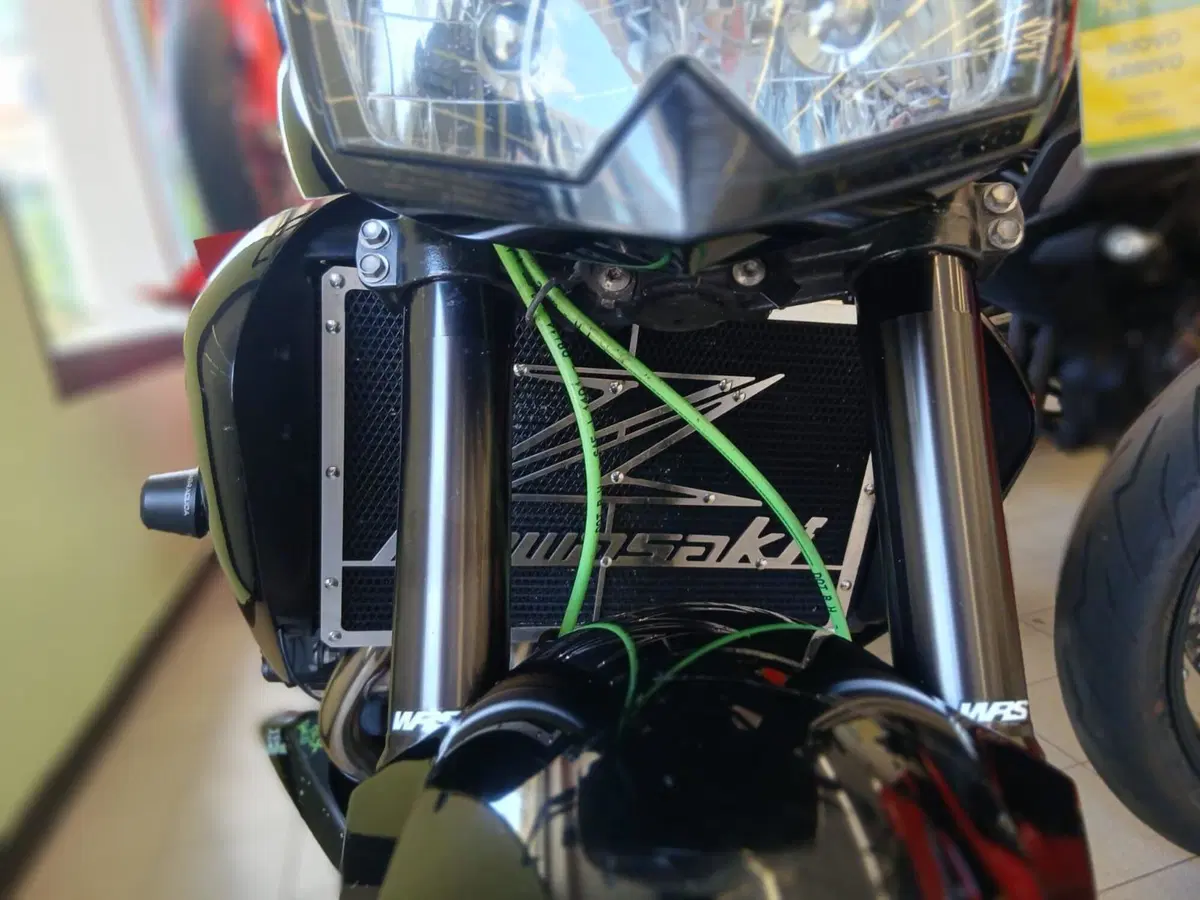 Kawasaki Z 750 (2007 - 14) (9)