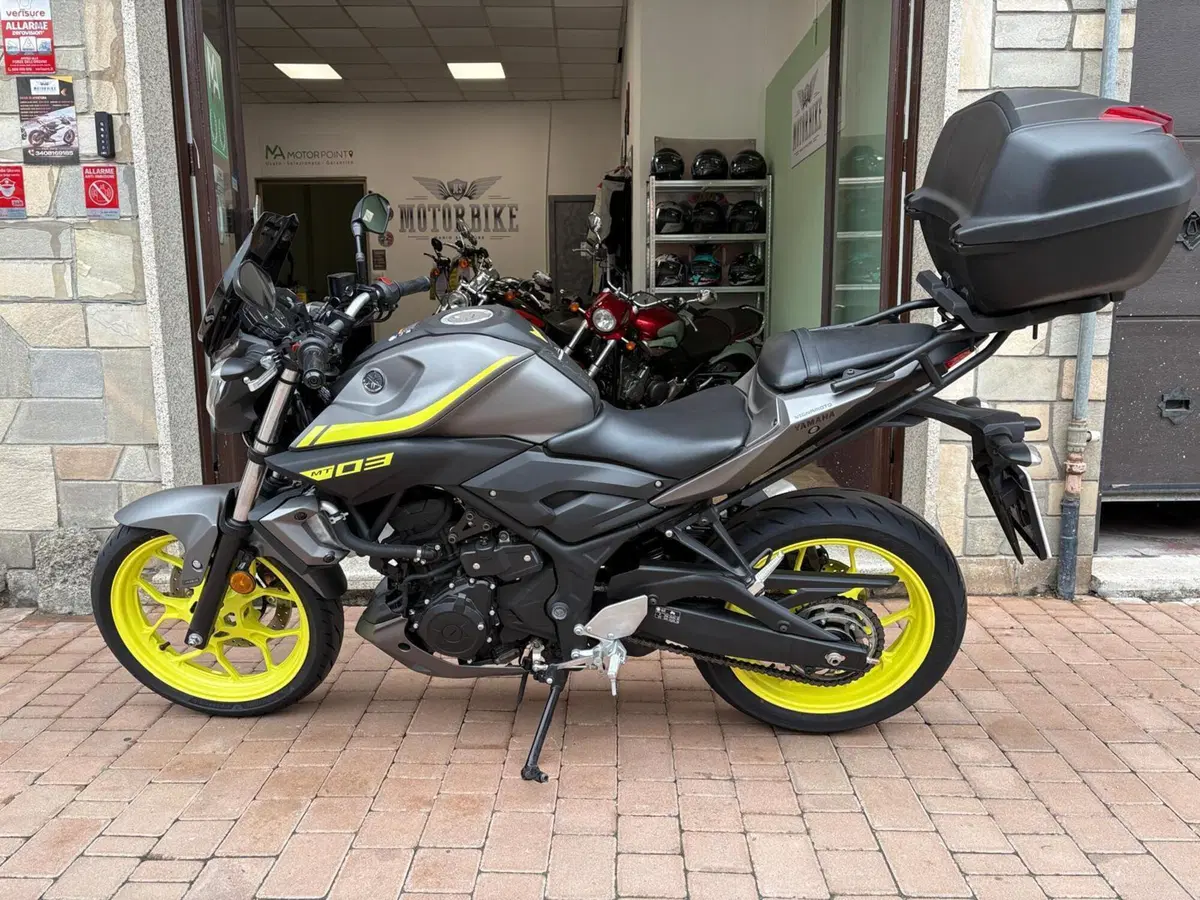 Yamaha MT-03 (2018 - 19) (6)