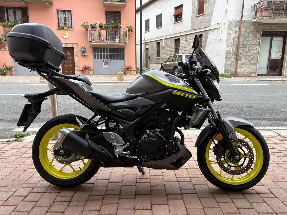 Yamaha MT-03 (2018 - 19) (8)