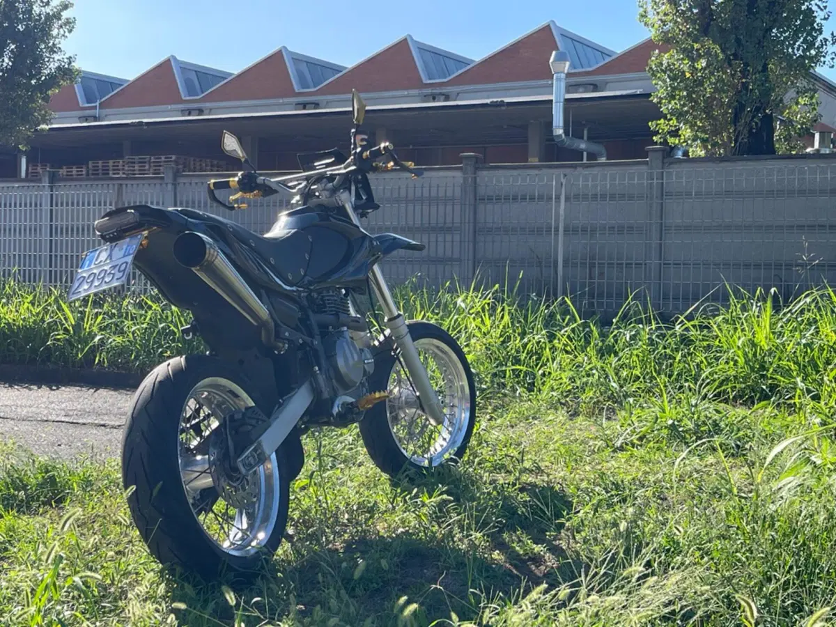 Betamotor Motard 4.0 M4 (2006 - 11) (5)