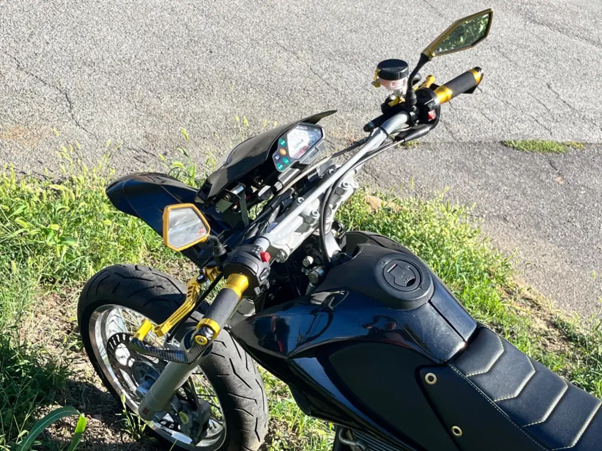 Betamotor Motard 4.0 M4 (2006 - 11) (12)